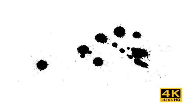 Ink Drops on Dry Paper 06