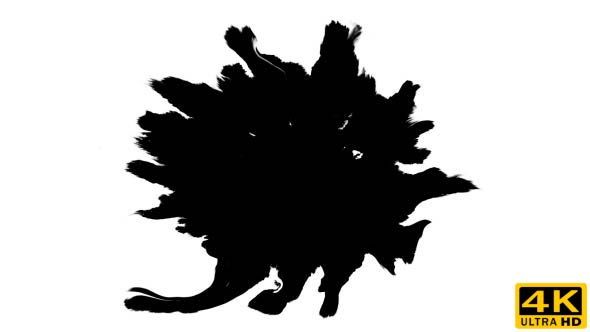 Ink Drops on Wet Paper 19 alt