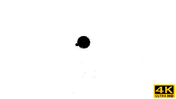 Ink Drop on Dry Paper 10