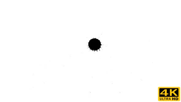 Ink Drop on Dry Paper 11