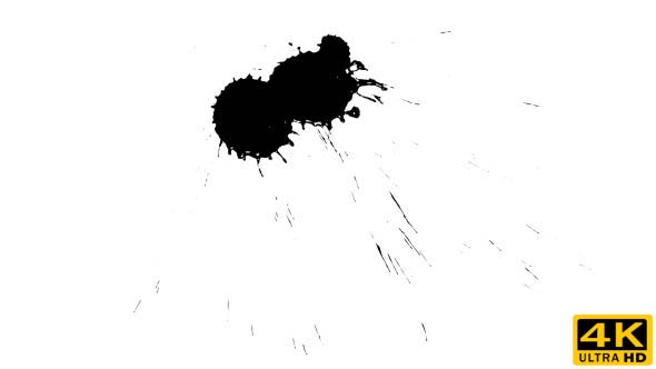 Ink Drop on Dry Paper 19