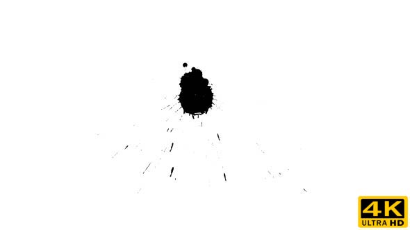 Ink Drop on Dry Paper 21