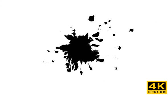 Ink Drops on Wet Paper 02