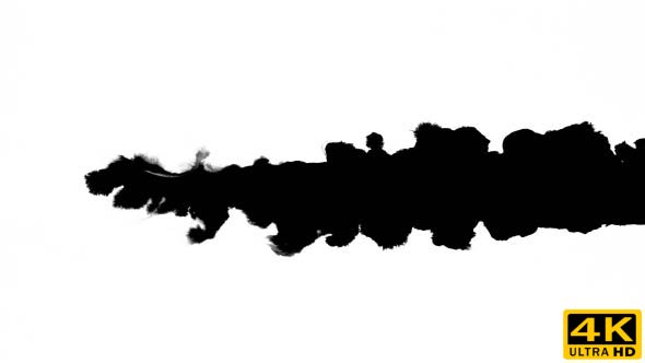 Inks Flow From Right To Left on Wet Paper 04