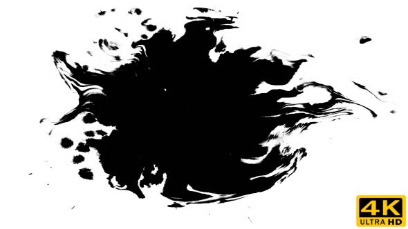 Ink Drops on Wet Paper 39