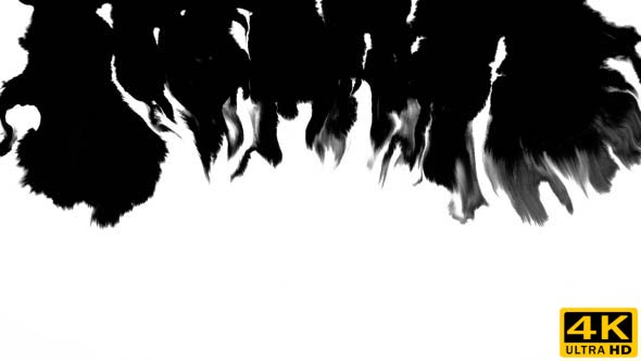 Ink Flowing From Top To Bottom on Wet Paper 03 alt