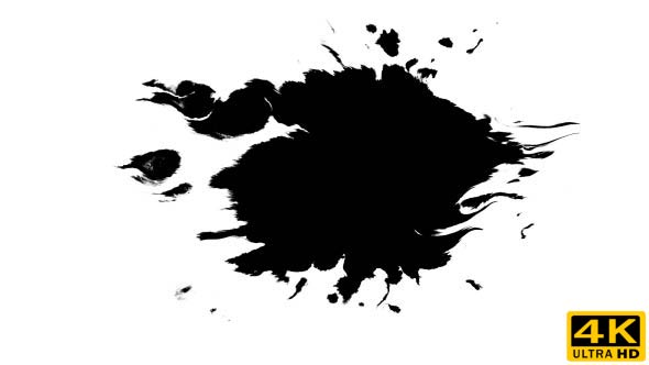 Ink Drops on Wet Paper 44 alt