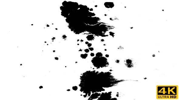 Many Ink Drops on Wet Paper 07
