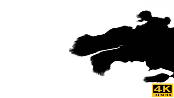 Inks Flow From Right To Left on Wet Paper 07