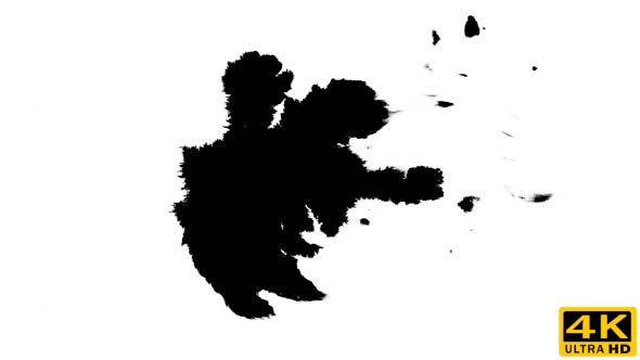 Ink Drops on Wet Paper 23 alt