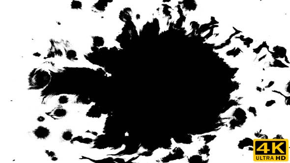 Many Ink Drops on Wet Paper 02 alt