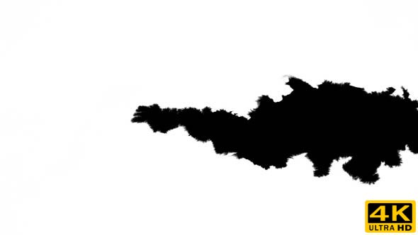 Inks Flow From Right To Left on Wet Paper 06