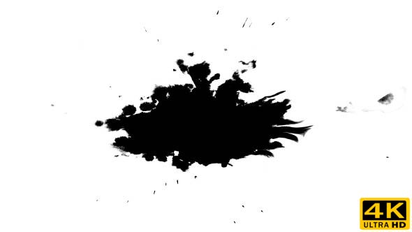 Ink Drops on Wet Paper 57