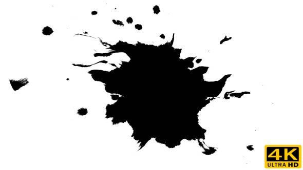 Ink Drops on Wet Paper 45