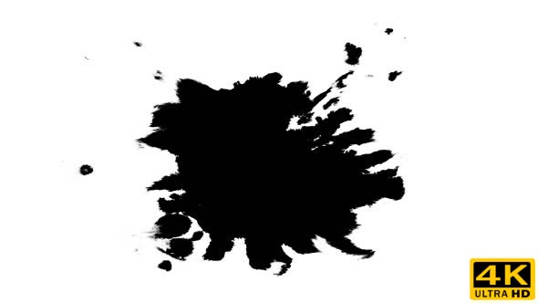 Ink Drops on Wet Paper 42