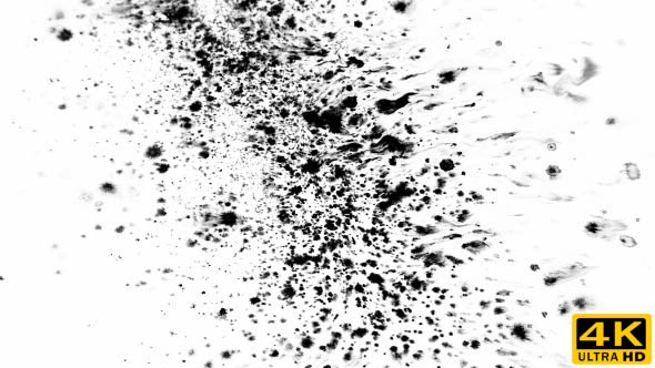 Many Ink Drops on Wet Paper 06