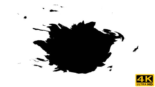 Ink Drops on Wet Paper 30