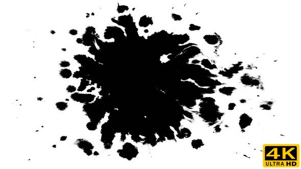 Several Ink Drops on the Wet Paper 05 alt
