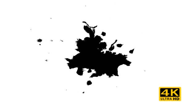 Ink Drops on Wet Paper 51