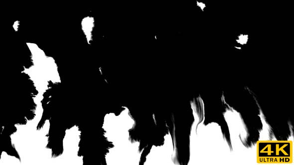 Ink Flowing From Top To Bottom on Wet Paper 05