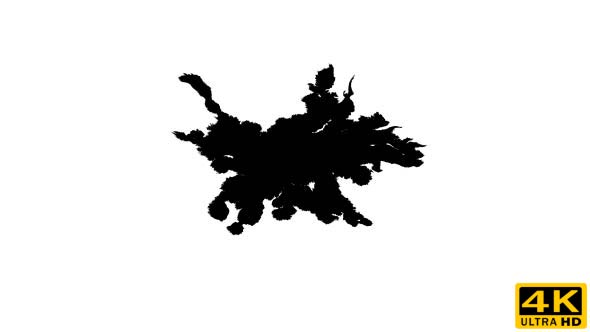 Ink Drops on Wet Paper 27