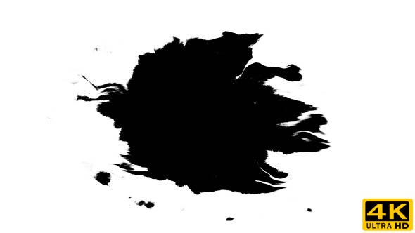 Ink Drops on Wet Paper 33