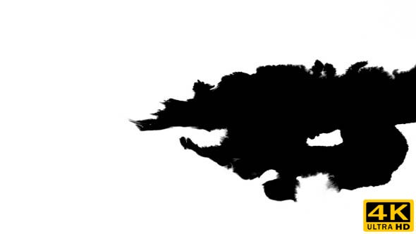 Inks Flow From Right To Left on Wet Paper 05