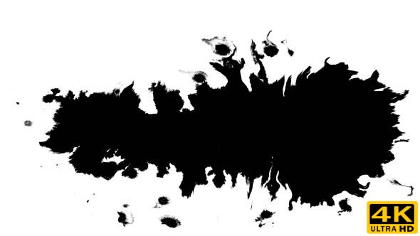 Ink Drops on Wet Paper 55