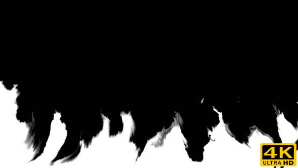 Ink Flowing From Top To Bottom on Wet Paper 04 alt