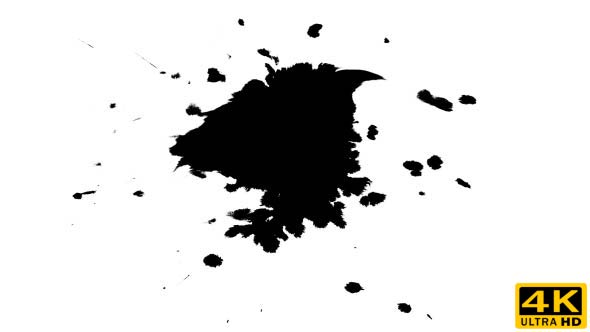 Ink Drops on Wet Paper 41