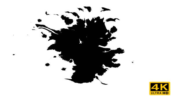 Ink Drops on Wet Paper 37