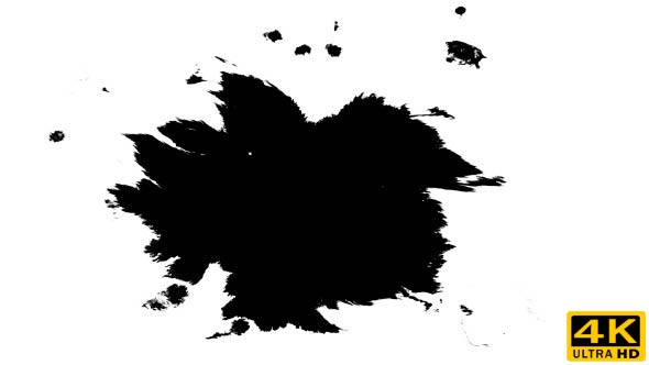 Ink Drops on Wet Paper 56