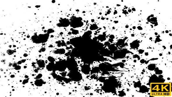 Many Ink Drops on Wet Paper 11 alt