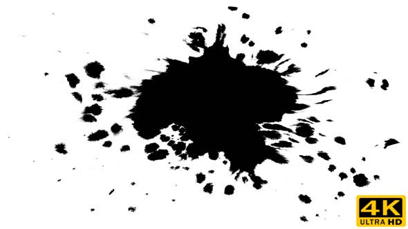 Ink Drops on Wet Paper 49 alt