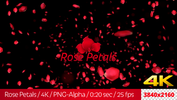 Rose Petals
