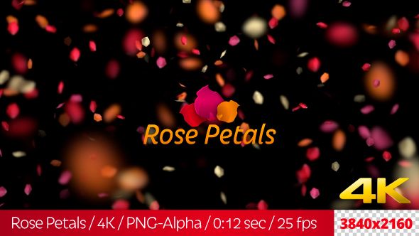 Rose Petals