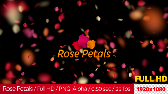 Rose Petals