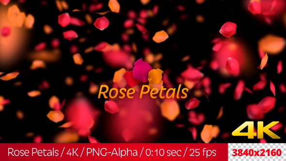 Rose Petals
