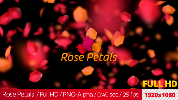 Rose Petals