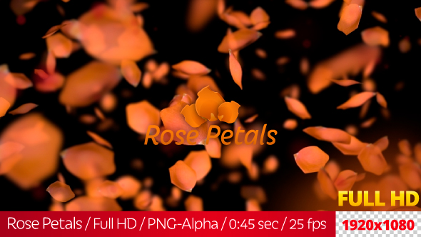 Rose Petals