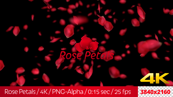 Rose Petals