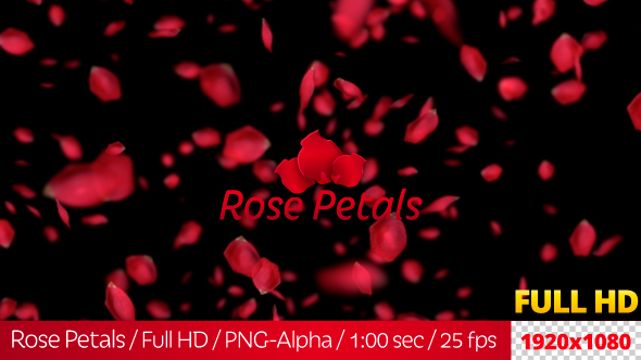 Rose Petals