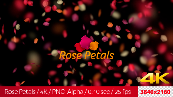 Rose Petals