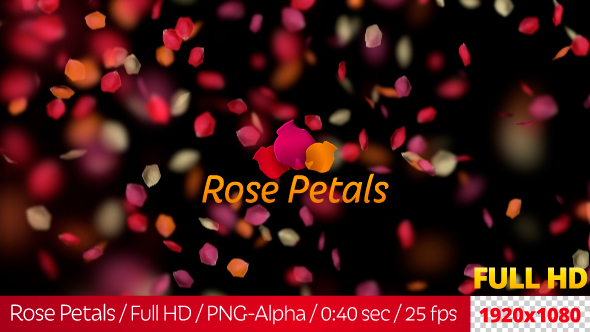 Rose Petals