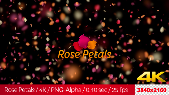 Rose Petals