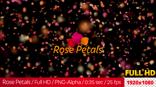 Rose Petals