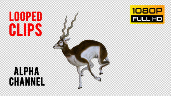 Antilope 2 Realistic Pack 3