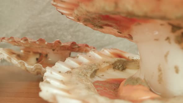 Pinkcolored Mollusks with Opened Muscles in Bright Studio