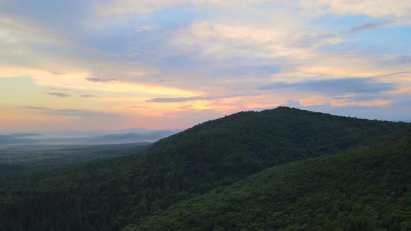 Aerial View of Green Pine Forest with Dark Spruce Trees Covering Mountain Hills at Sunset