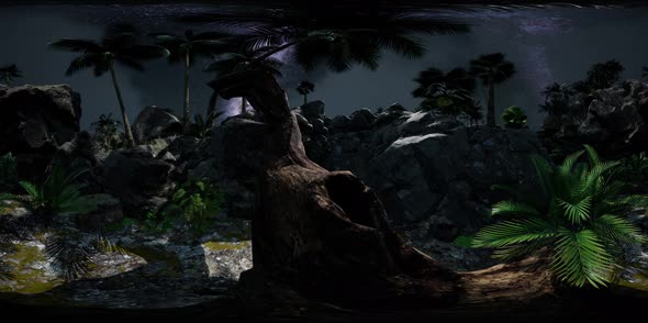 Vr 360 Camera Hyperlapse Star Trails Over Sandstone Canyon Walls and Trees. alt